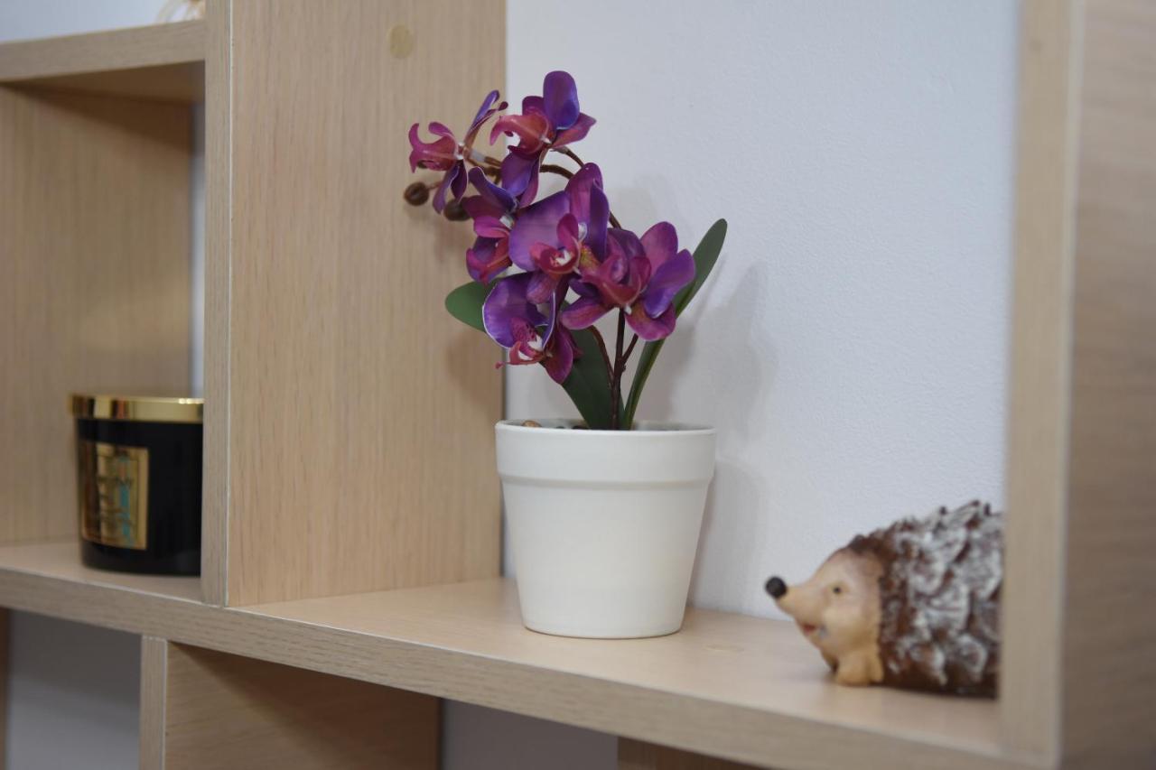 1St Apartment Nehoiu Eksteriør bilde